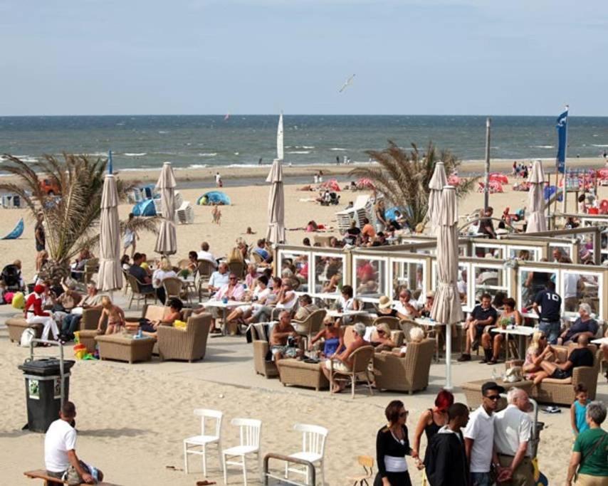 Stella Maris Dune Apartment Zandvoort Eksteriør billede